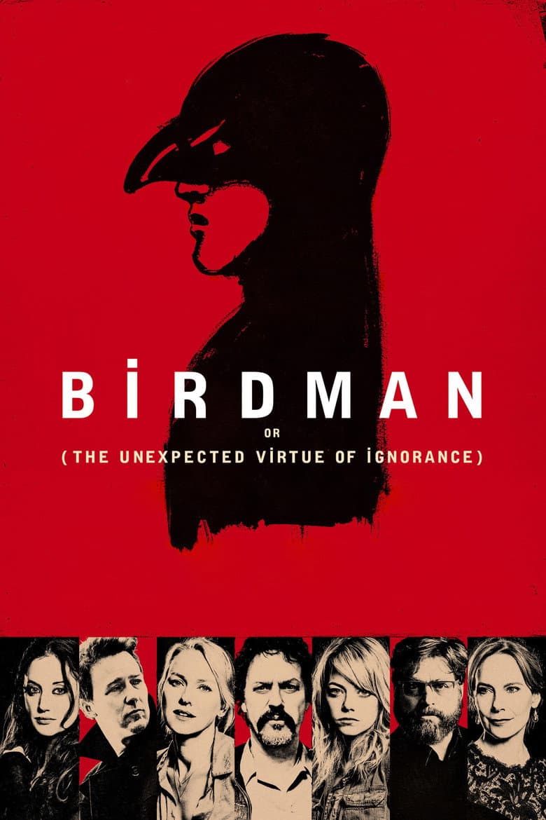 Birdman or (The Unexpected Virtue of Ignorance) — posters 5