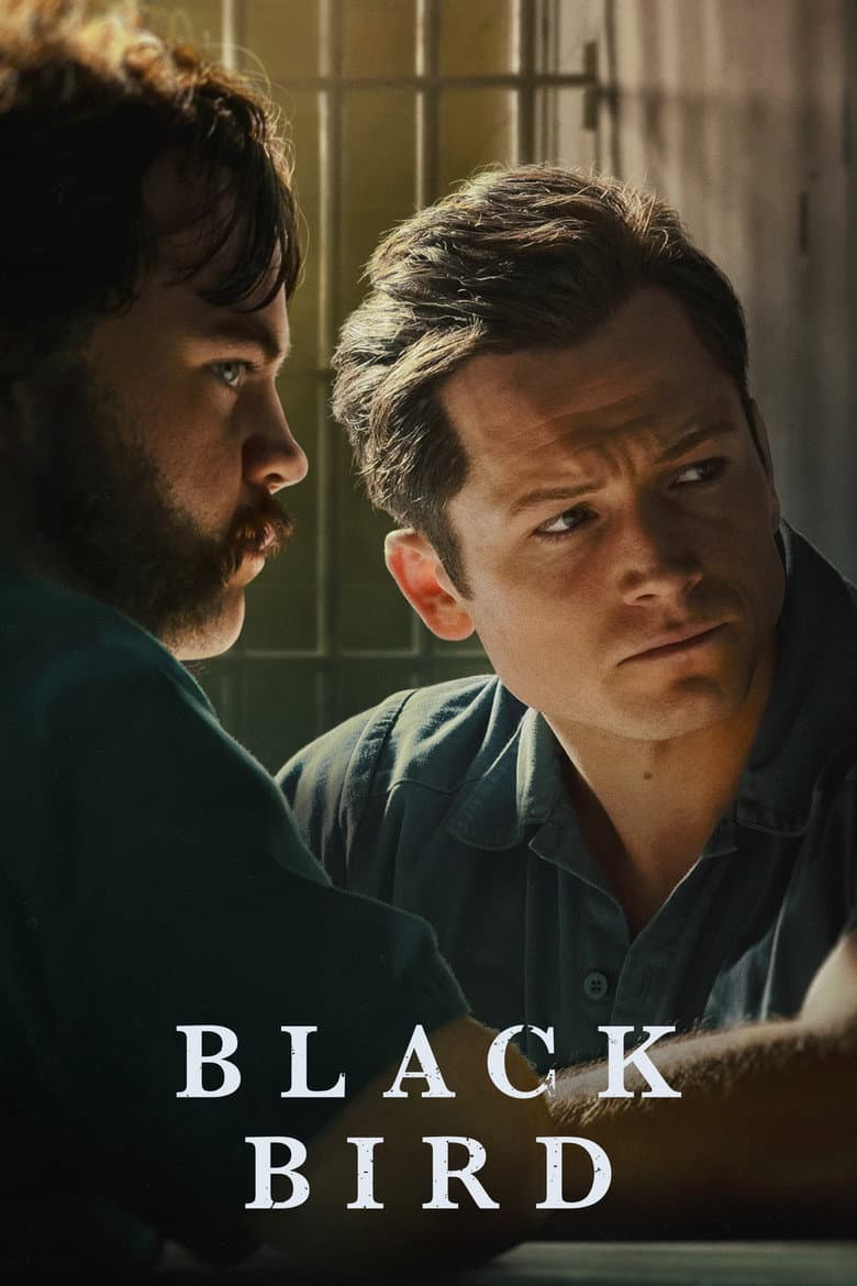 Black Bird — posters 4