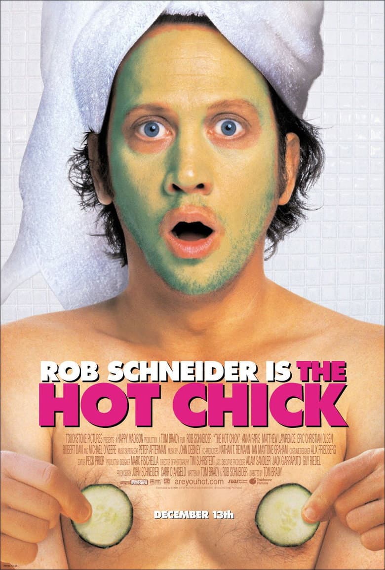 The Hot Chick — posters 2