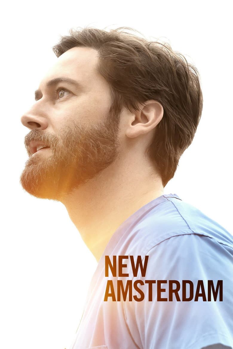 New Amsterdam — posters 6