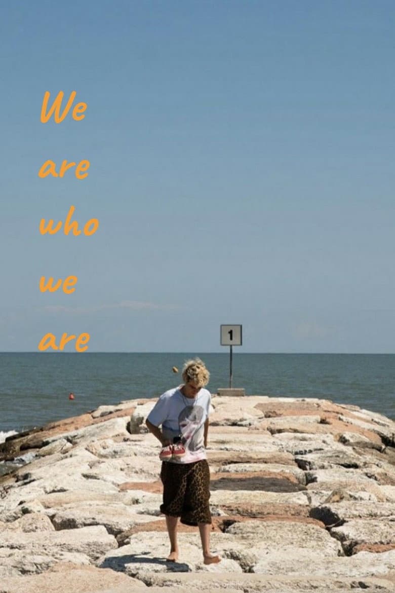 We Are Who We Are — posters 7