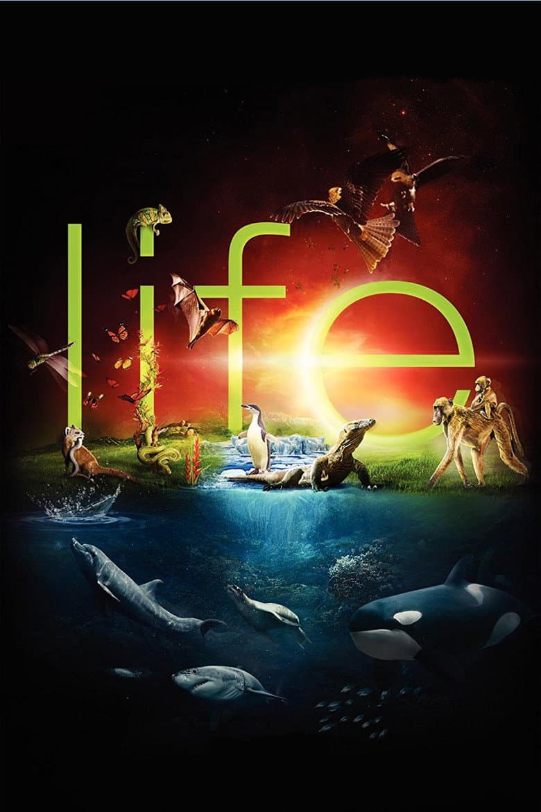 Life — posters 6
