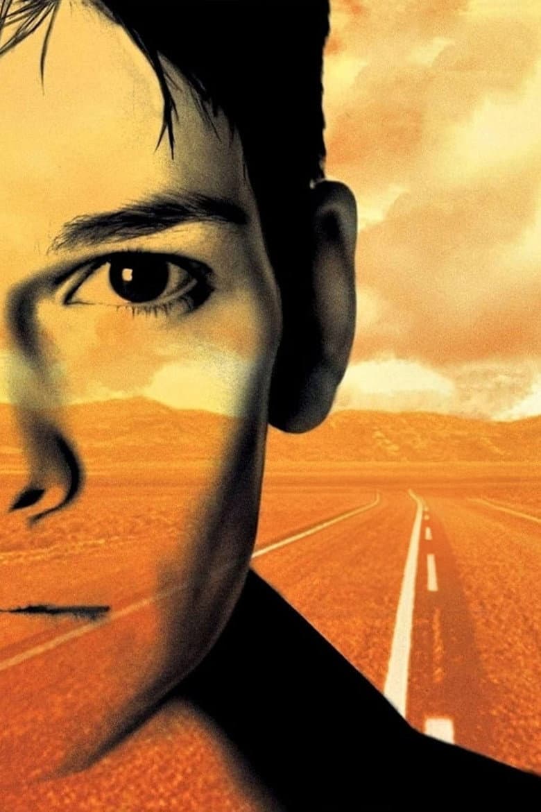 Boys Don't Cry — posters 8