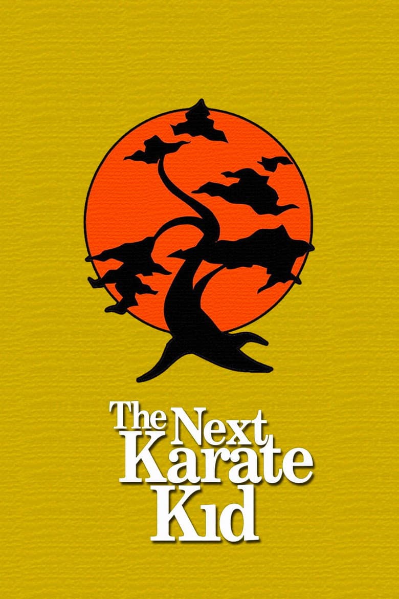 The Next Karate Kid — posters 3