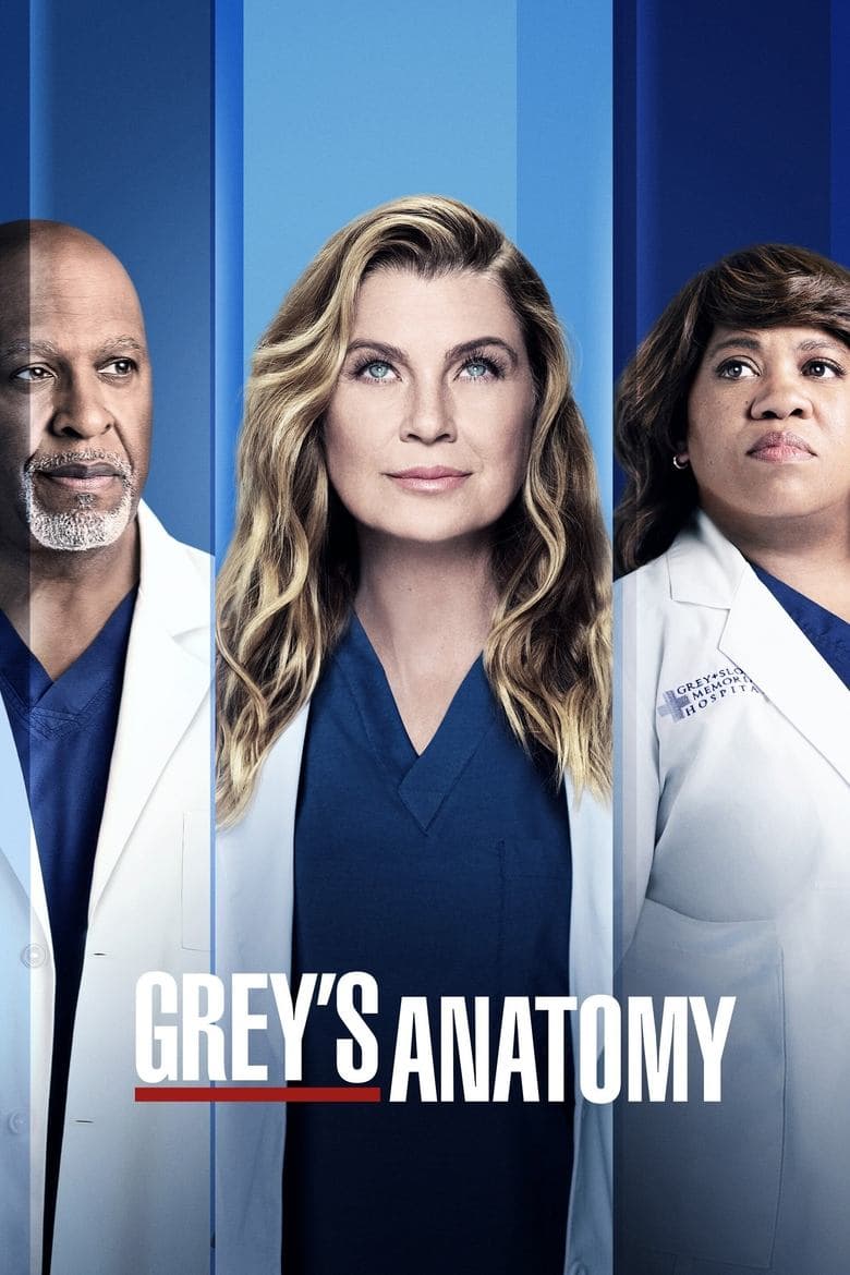 Grey's Anatomy — posters 7