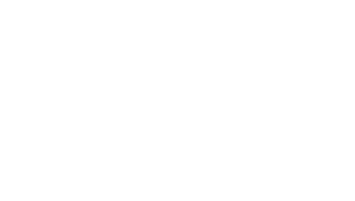 Big Brother